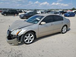 Salvage cars for sale at Houston, TX auction: 2005 Nissan Maxima SE