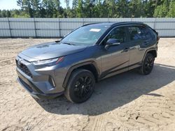 Salvage cars for sale at Harleyville, SC auction: 2023 Toyota Rav4 XSE