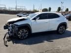 2024 Lexus UX 250H Base