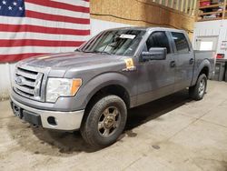 Salvage cars for sale from Copart Anchorage, AK: 2011 Ford F150 Supercrew