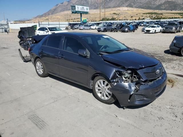 2009 Toyota Corolla Base