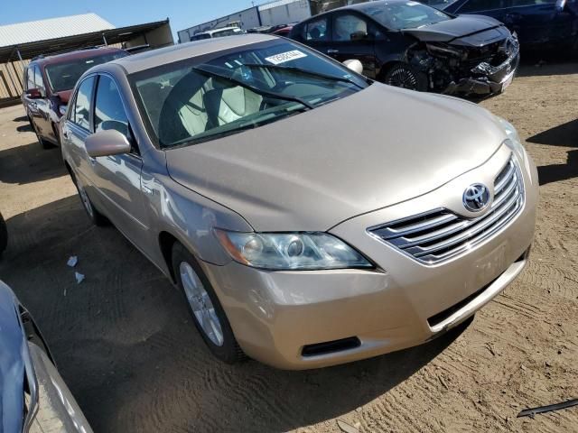 2008 Toyota Camry Hybrid