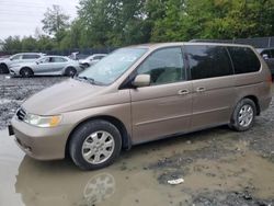 Salvage cars for sale at Waldorf, MD auction: 2004 Honda Odyssey EX