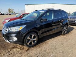 2017 Ford Escape SE en venta en Rocky View County, AB