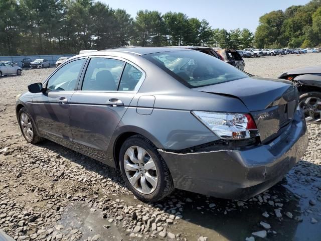 2010 Honda Accord EX