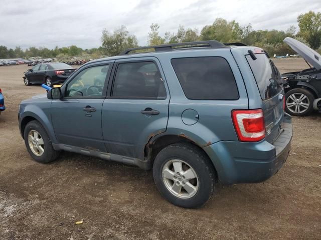 2011 Ford Escape XLT