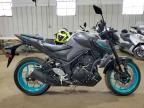 2024 Yamaha MT-03