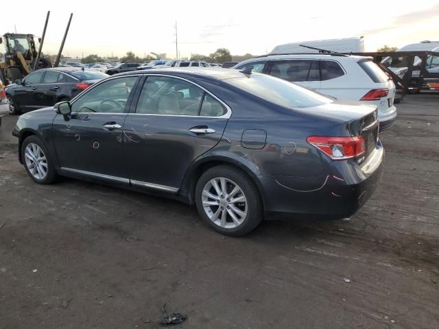 2010 Lexus ES 350