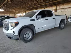 Salvage cars for sale at Phoenix, AZ auction: 2023 GMC Sierra C1500