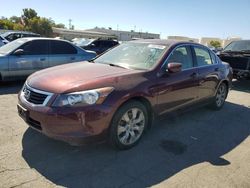 Honda salvage cars for sale: 2008 Honda Accord EXL