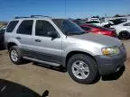 2006 Ford Escape XLT