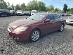 Lexus salvage cars for sale: 2008 Lexus ES 350