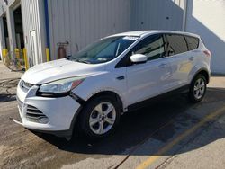 Salvage cars for sale at Rogersville, MO auction: 2014 Ford Escape SE