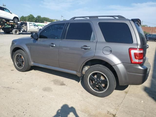 2011 Ford Escape XLT