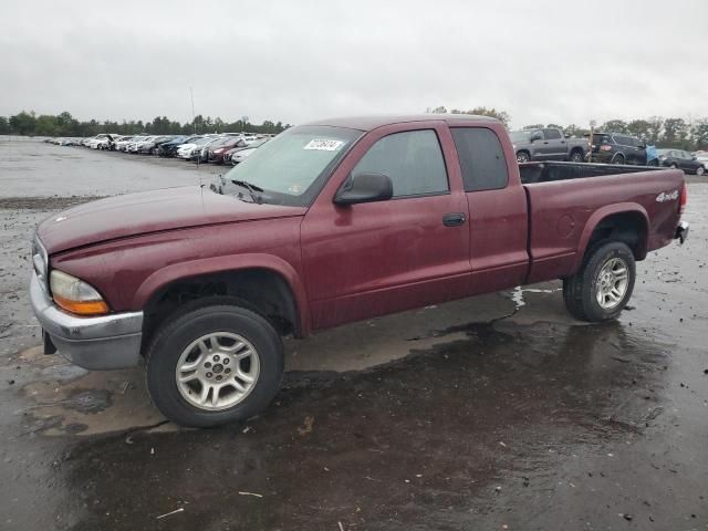 2003 Dodge Dakota SLT