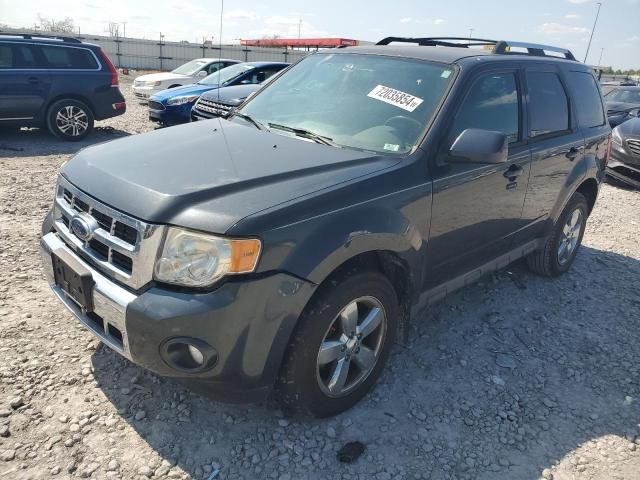 2009 Ford Escape Limited