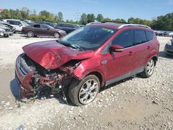 Salvage cars for sale at Columbus, OH auction: 2013 Ford Escape Titanium