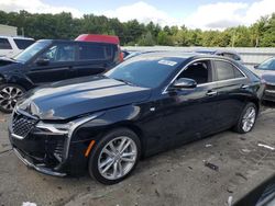 Cadillac ct4 Vehiculos salvage en venta: 2023 Cadillac CT4 Luxury