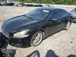 Nissan salvage cars for sale: 2011 Nissan Maxima S