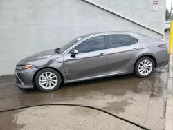 Salvage cars for sale at Hillsborough, NJ auction: 2024 Toyota Camry LE