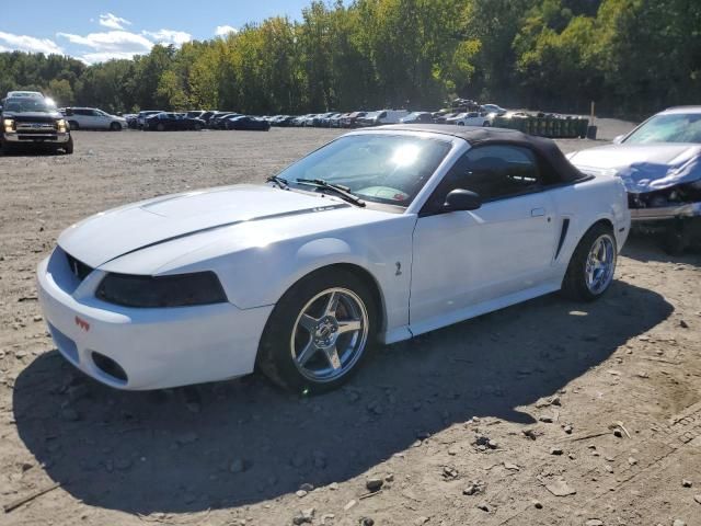 2001 Ford Mustang Cobra SVT