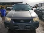 2002 Ford Escape XLT