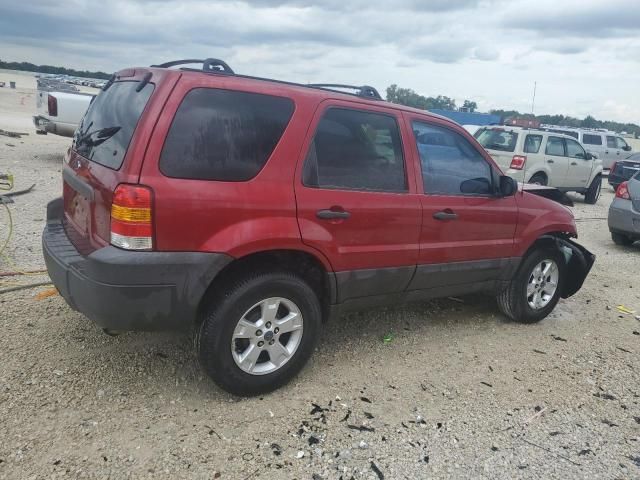 2007 Ford Escape XLT