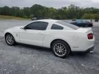 2012 Ford Mustang