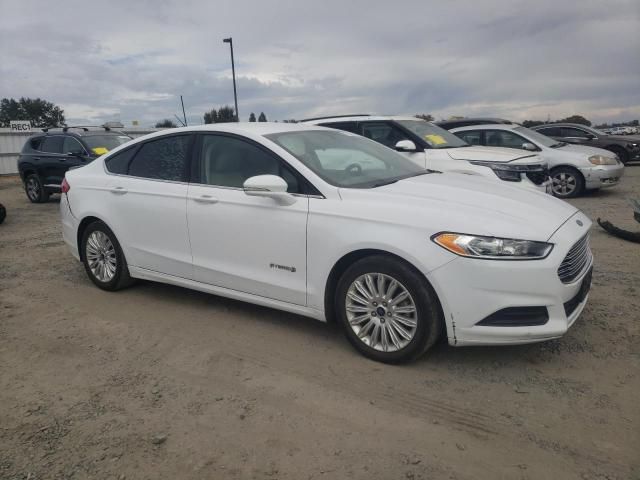 2016 Ford Fusion SE Hybrid