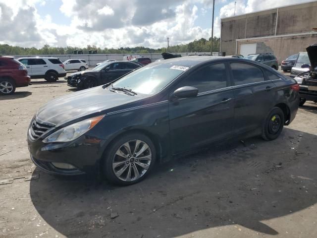 2011 Hyundai Sonata SE