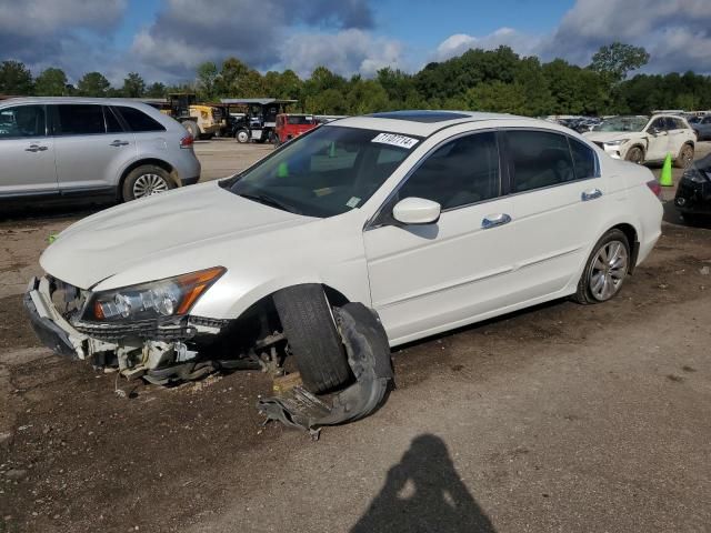 2011 Honda Accord EXL