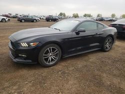 Ford salvage cars for sale: 2016 Ford Mustang