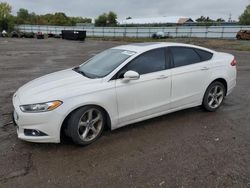 Ford Vehiculos salvage en venta: 2016 Ford Fusion SE