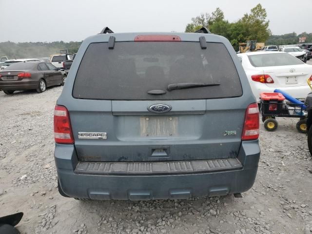 2012 Ford Escape XLT