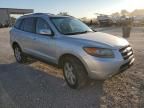 2007 Hyundai Santa FE SE