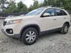 2011 KIA Sorento Base