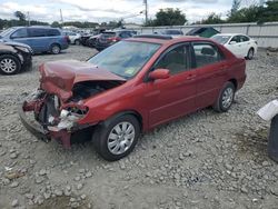 Toyota Vehiculos salvage en venta: 2004 Toyota Corolla CE