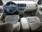 2003 Ford Escape XLT