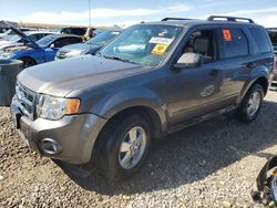 Salvage Cars with No Bids Yet For Sale at auction: 2012 Ford Escape XLT