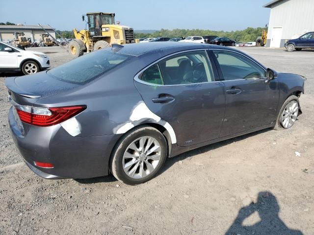 2015 Lexus ES 300H