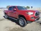 2019 Toyota Tacoma Double Cab