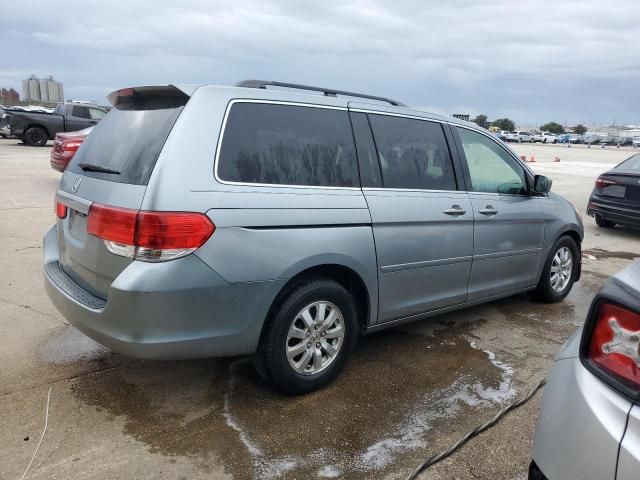 2008 Honda Odyssey EXL