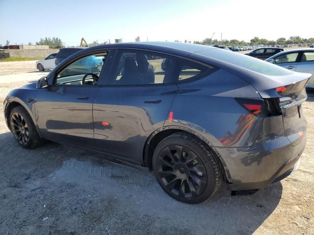 2020 Tesla Model Y