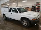 2003 Dodge Dakota SXT