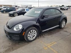 Salvage cars for sale at Grand Prairie, TX auction: 2019 Volkswagen Beetle S