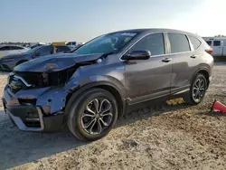 Salvage cars for sale at Houston, TX auction: 2020 Honda CR-V EXL