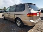 2004 Honda Odyssey EXL