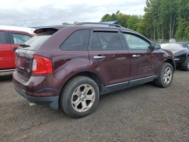 2011 Ford Edge SEL