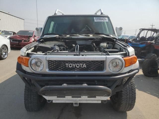 2010 Toyota FJ Cruiser