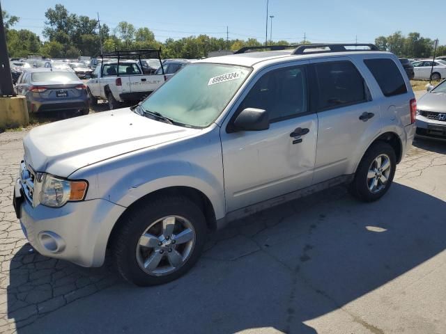 2009 Ford Escape XLT